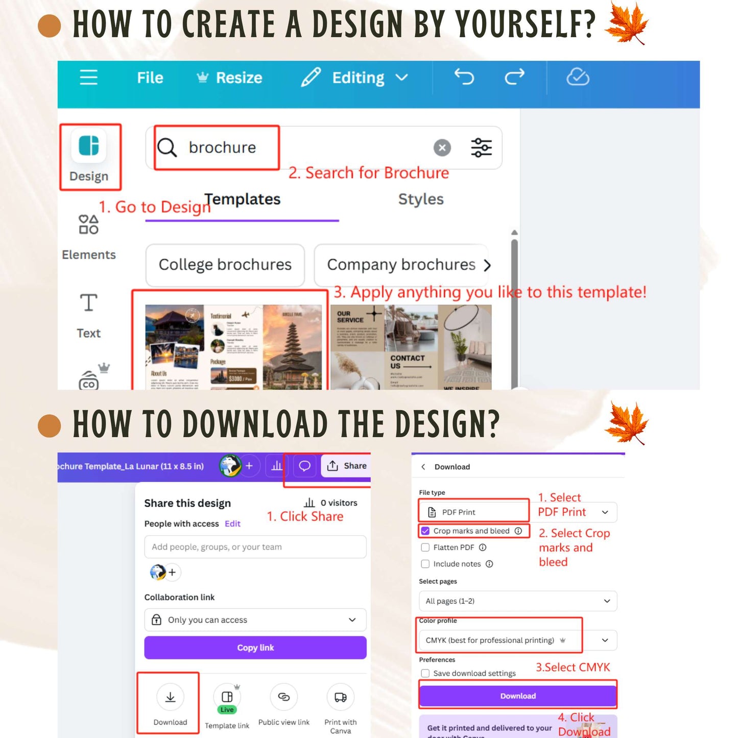 Brochure (Gloss Text)