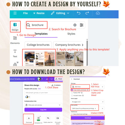 Brochure (Gloss Text)